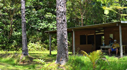 Refuge forestier